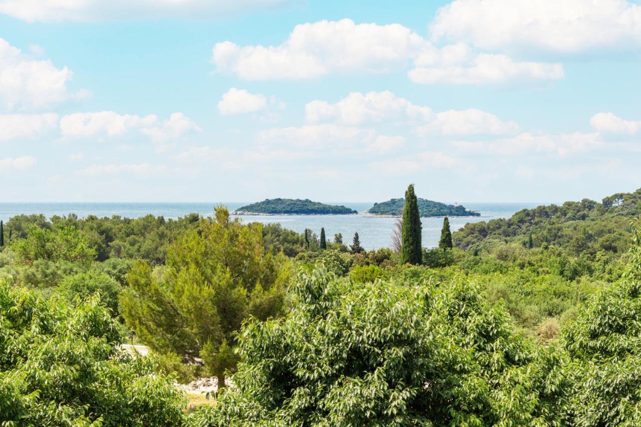 Apartment Centener Rovinj Exterior foto